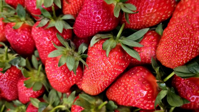 22. juna - Licitacija za slobodne prodajne prostore