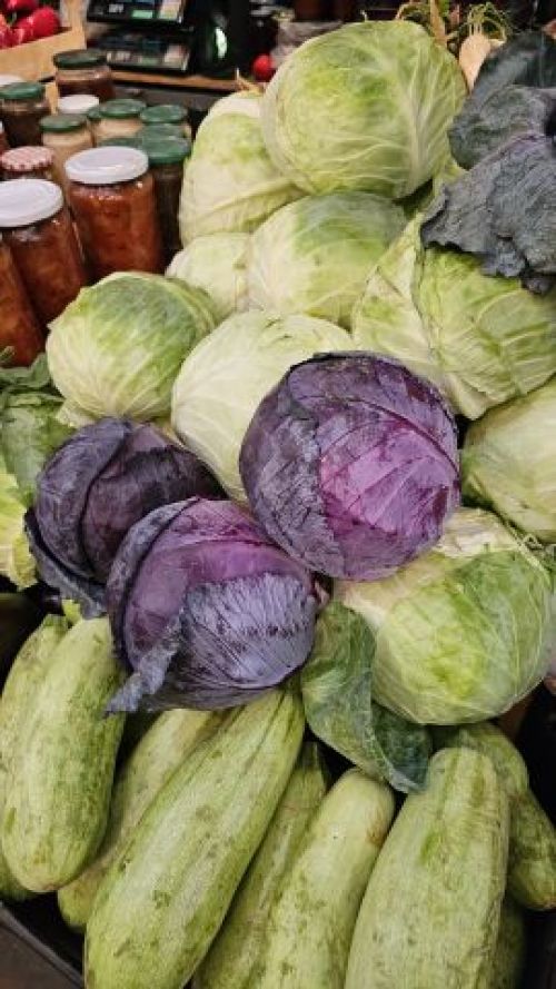 27. oktobra javno nadmetanje za slobodne prodajne prostore na Robnoj pijaci “Mali Bajmok“ i Zelenoj pijaci “Mali Bajmok“